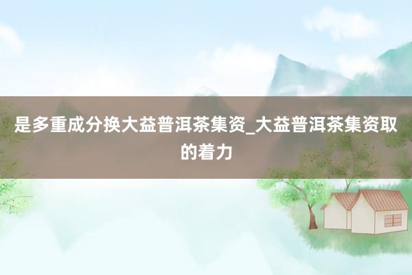 是多重成分换大益普洱茶集资_大益普洱茶集资取的着力