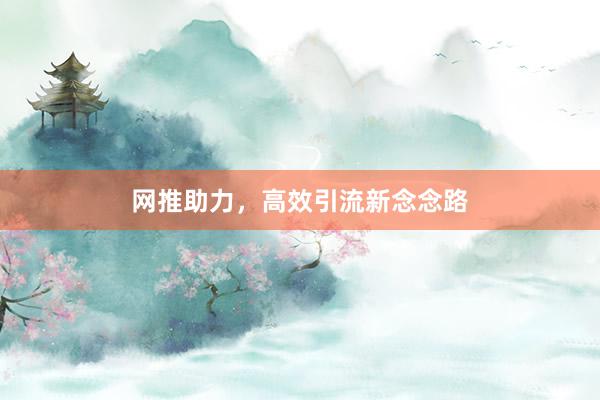 网推助力,高效引流新念念路