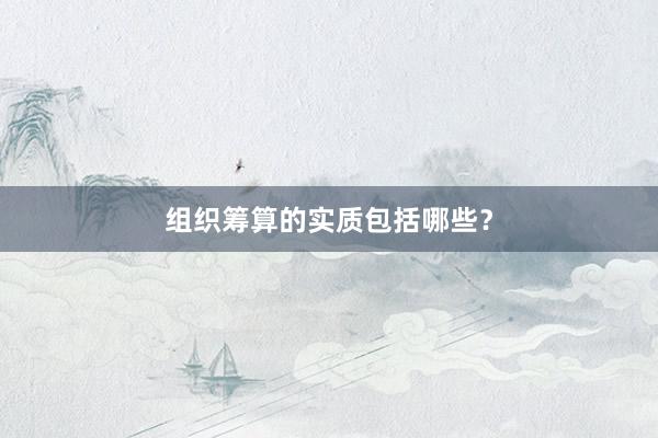 组织筹算的实质包括哪些？